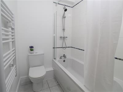Picture 12